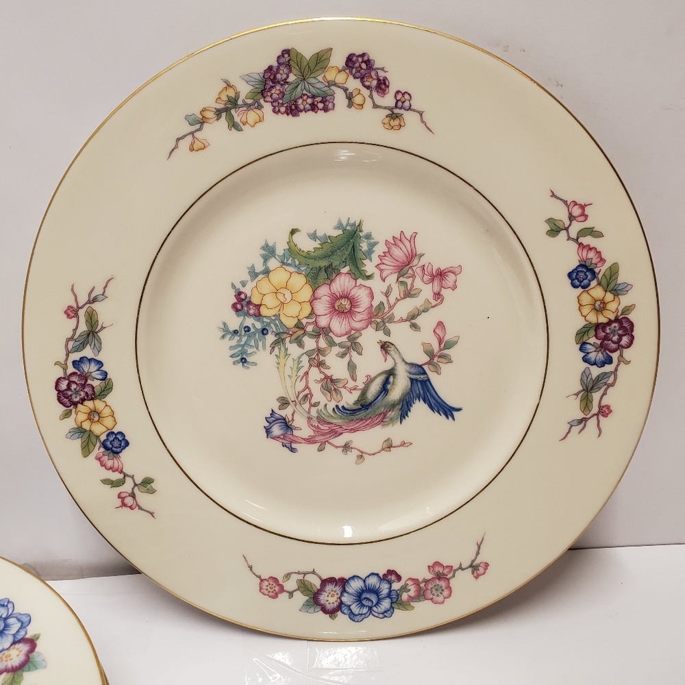 set of 6 castleton china floral bird plates 8 1/2